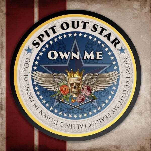 Cover art for Own Me